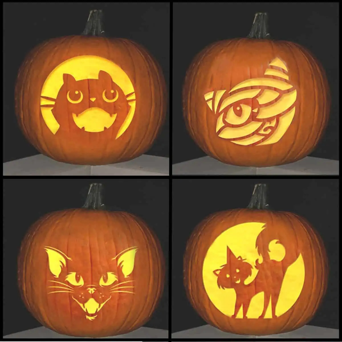 67 Cute Cat Pumpkin Carving Patterns (For Free!) | Artsy Pretty Plants for Cat Pumpkin Carving Printable Free