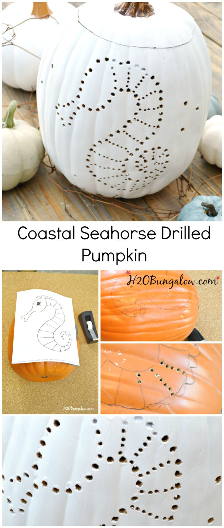 Printable Drilled Pumpkin Patterns