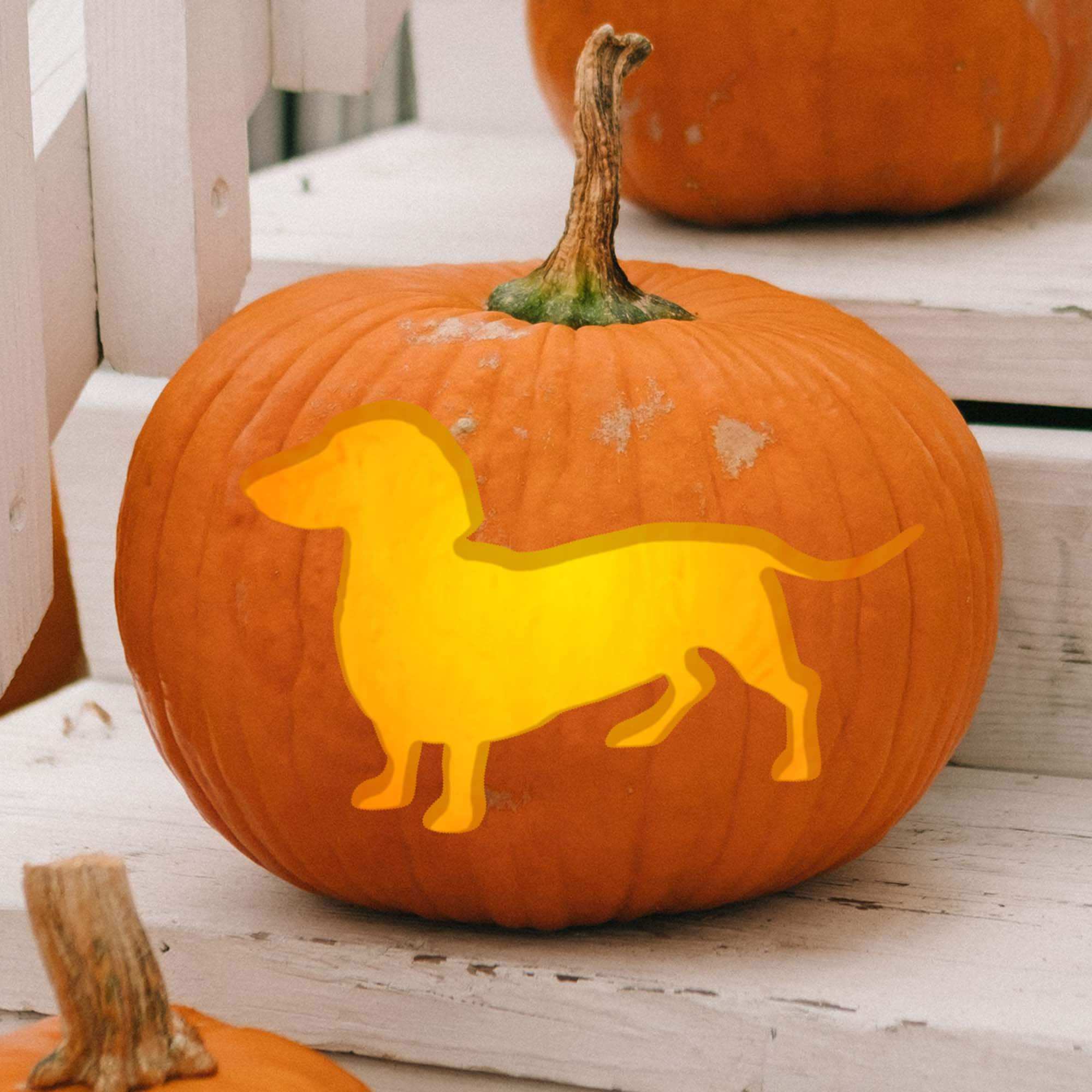 Dachshund / Silhouette Series Printable Pumpkin Carving Pattern regarding Free Printable Dachshund Pumpkin Stencil