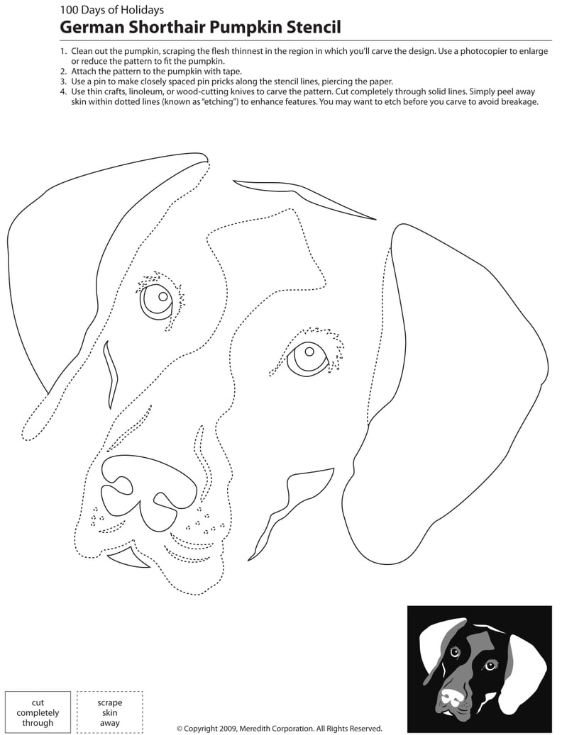 Downloadable Dog Breed Pumpkin Stencils | Ps Pets regarding Labrador Pumpkin Stencil Printable
