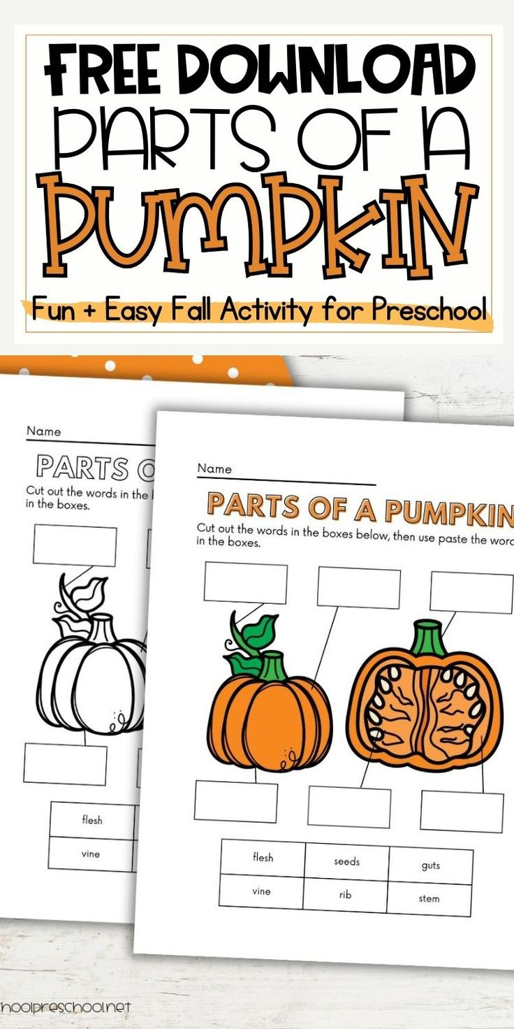 Engaging Parts Of A Pumpkin Free Printable For Preschool Fun regarding Pumpkin Investigation Free Printable