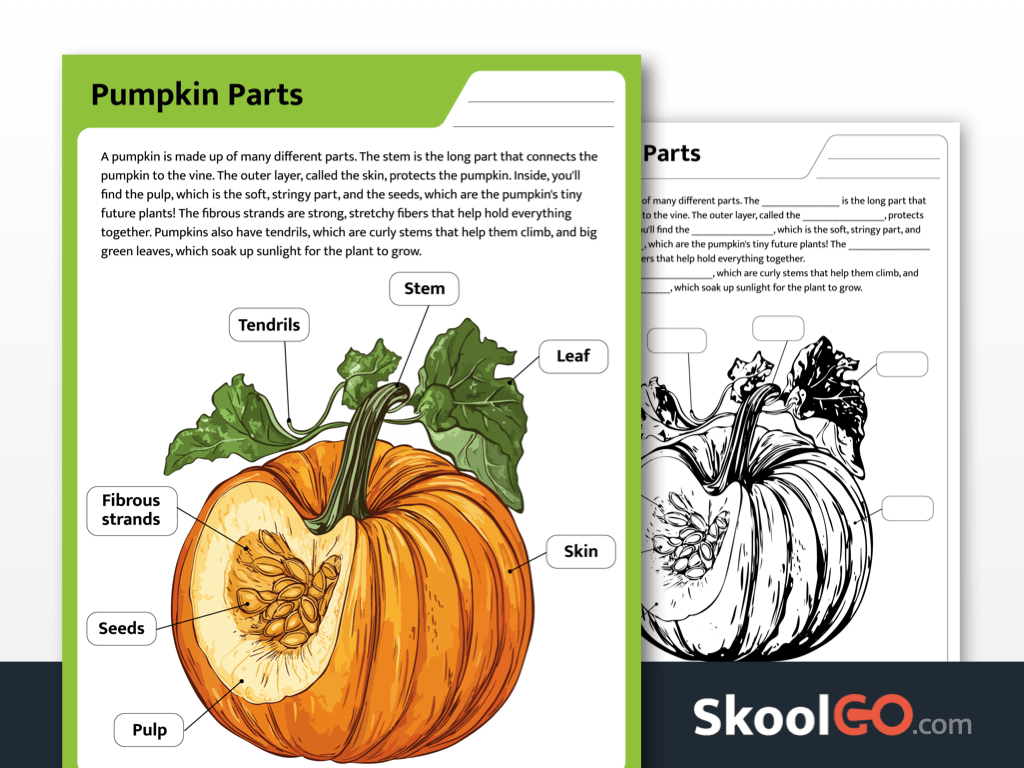 Free Printable Pumpkin Parts Worksheet - Skoolgo within Pumpkin Parts Free Printable