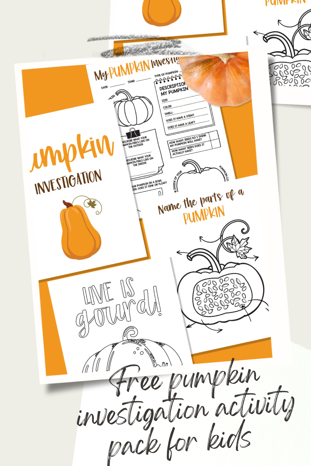 Free Pumpkin Investigation Activity Pack - The-Gingerbread-House.co.uk with Pumpkin Investigation Free Printable