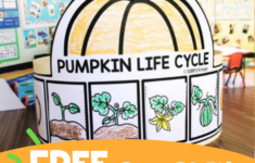 Free Pumpkin Life Cycle Hat - Simply Kinder intended for Life Cycle Of A Pumpkin Preschool Printable