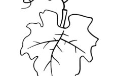 How To Draw A Pumpkin Leaf pertaining to Printable Pumpkin Leaves Template