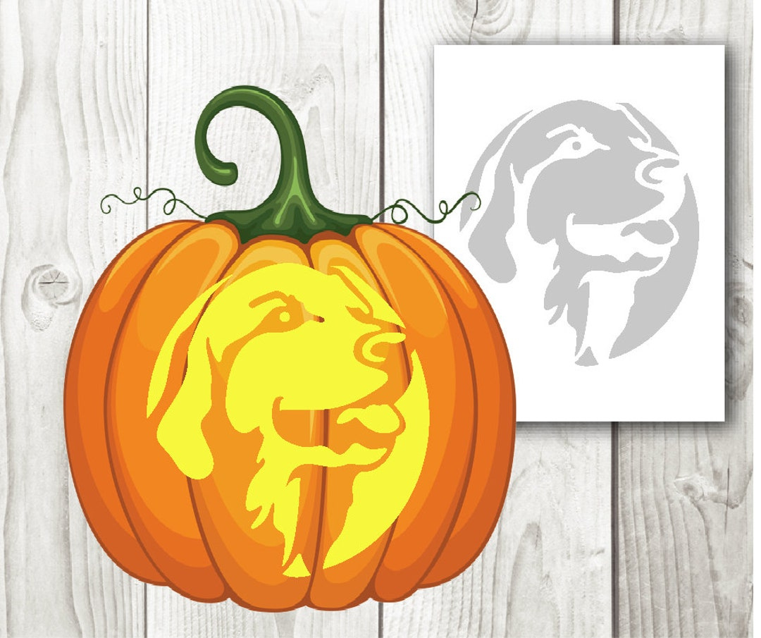 Labrador Retriever, Halloween Dogs, Pumpkin Carving, Stencil for Golden Retriever Pumpkin Stencil Printable