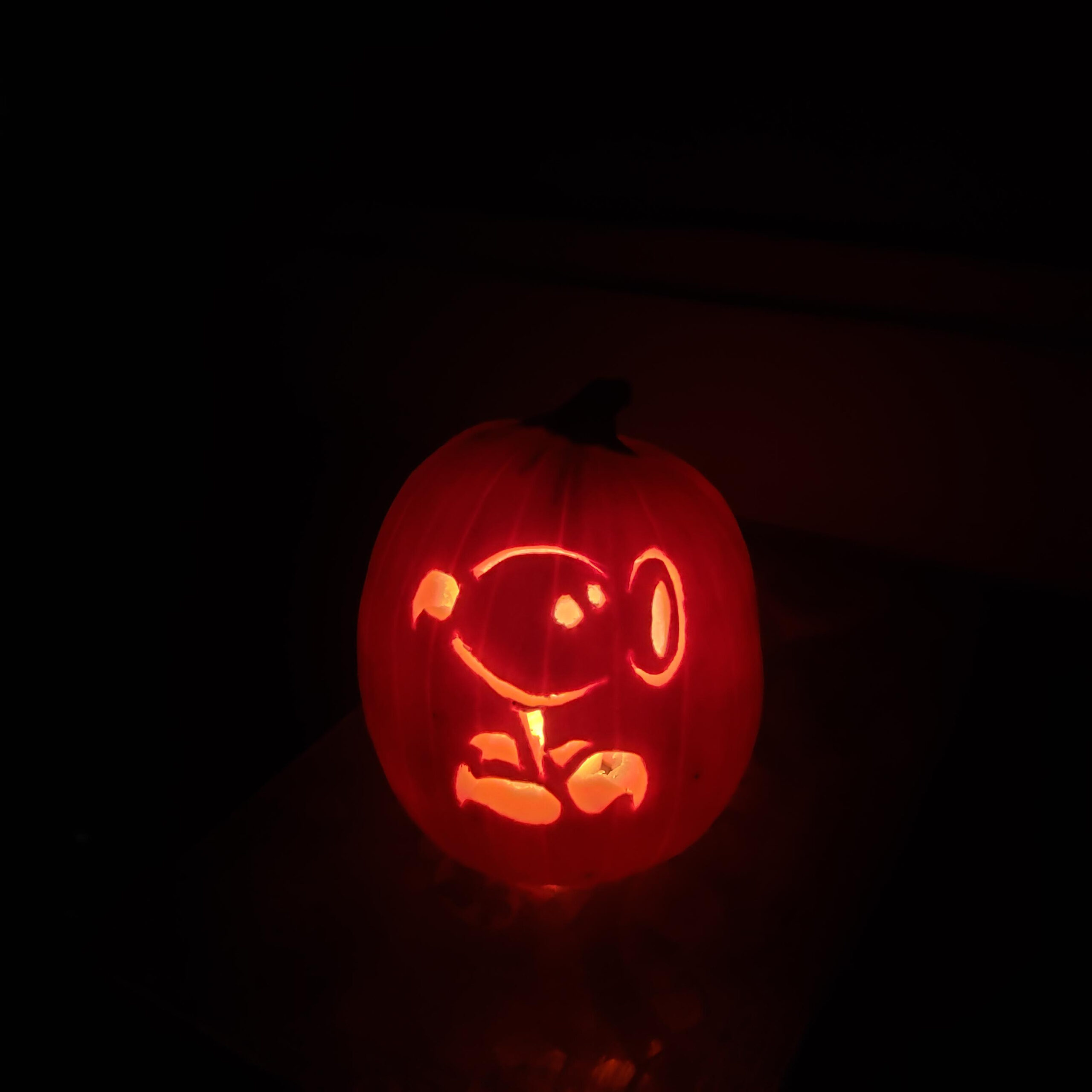 Late But Figured I'D Still Show The Pumpkin My Gf Carved For within Plants Vs Zombies Pumpkin Carving