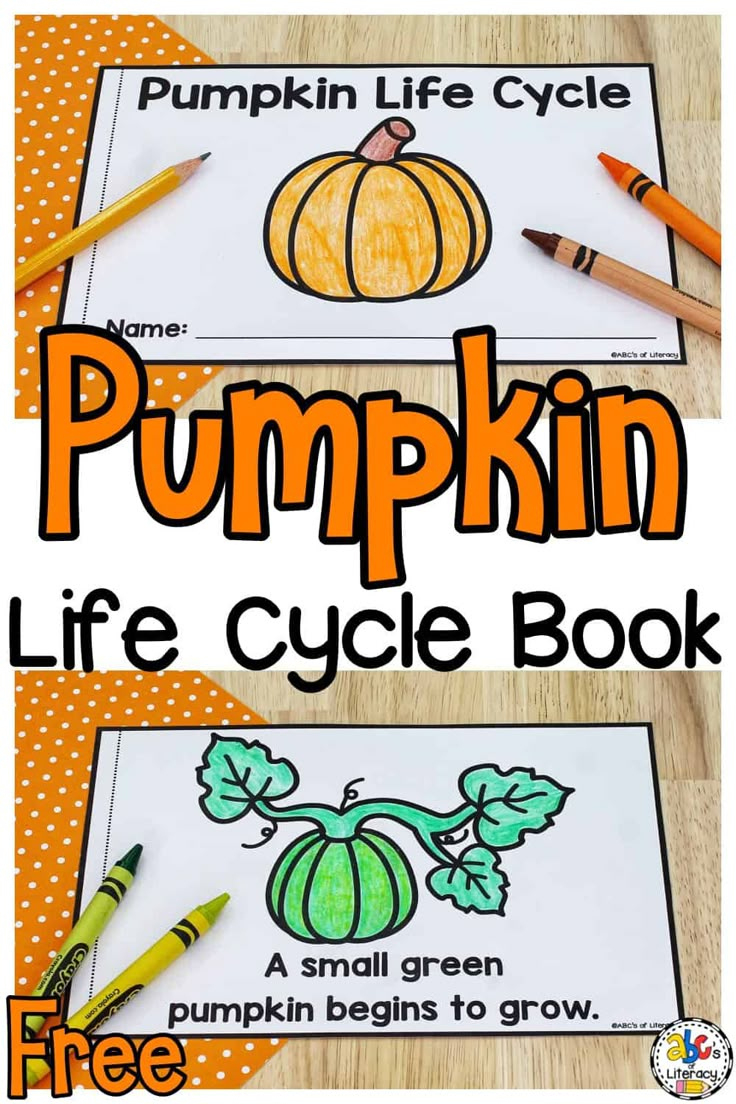 Life Cycle Of A Pumpkin Book: Free Printable Science Book with regard to Free Printable Pumpkin Books For Preschoolers
