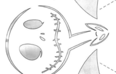 Nightmare Before Christmas: Jack Skellington (Pumpkin Stencil with Free Printable Jack Skellington Pumpkin Stencil