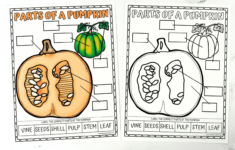 Parts Of A Pumpkin Worksheet (Free Coloring Page) regarding Free Parts Of A Pumpkin Printable