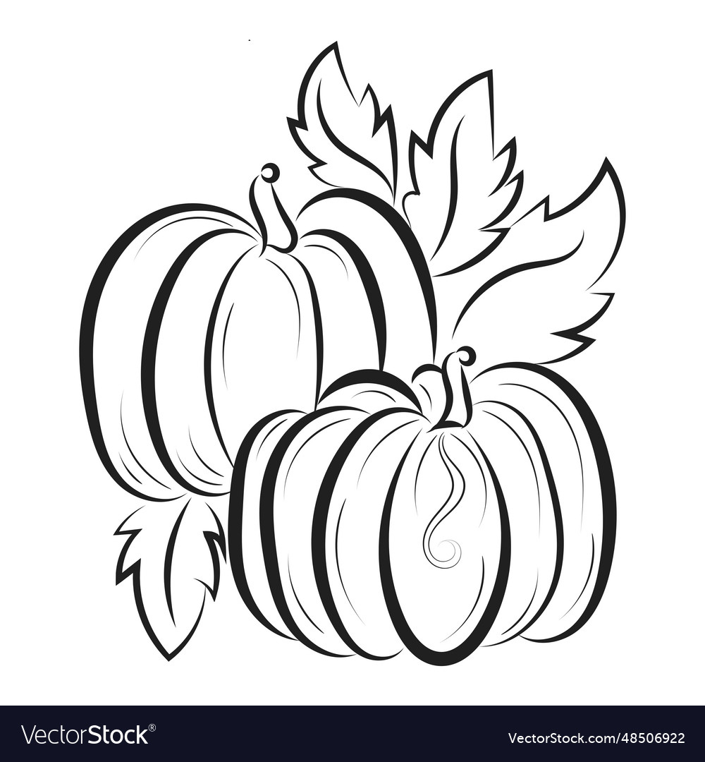 Printable Pumpkin Coloring Pages For Kids Vector Image intended for Printable Picture Of Pumpkin