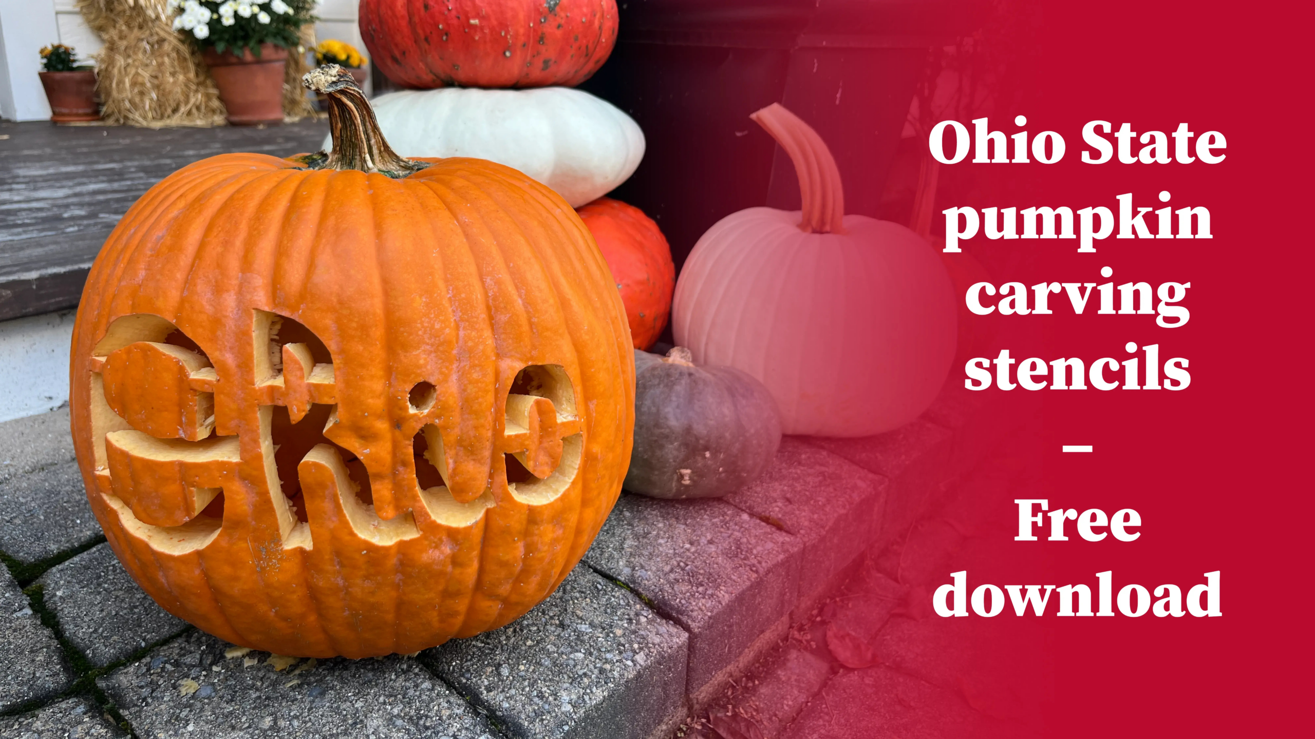 Pumpkin Carving Stencils | Alumni Association for Ohio State Pumpkin Stencil Printable