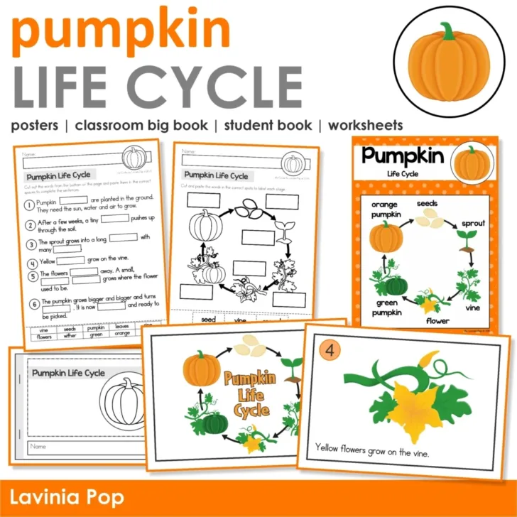 Free Printable Pumpkin Life Cycle Book