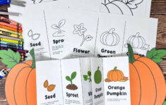 Pumpkin Life Cycle Activity For A Fun Science Foldable (Free throughout Free Printable Pumpkin Life Cycle Book
