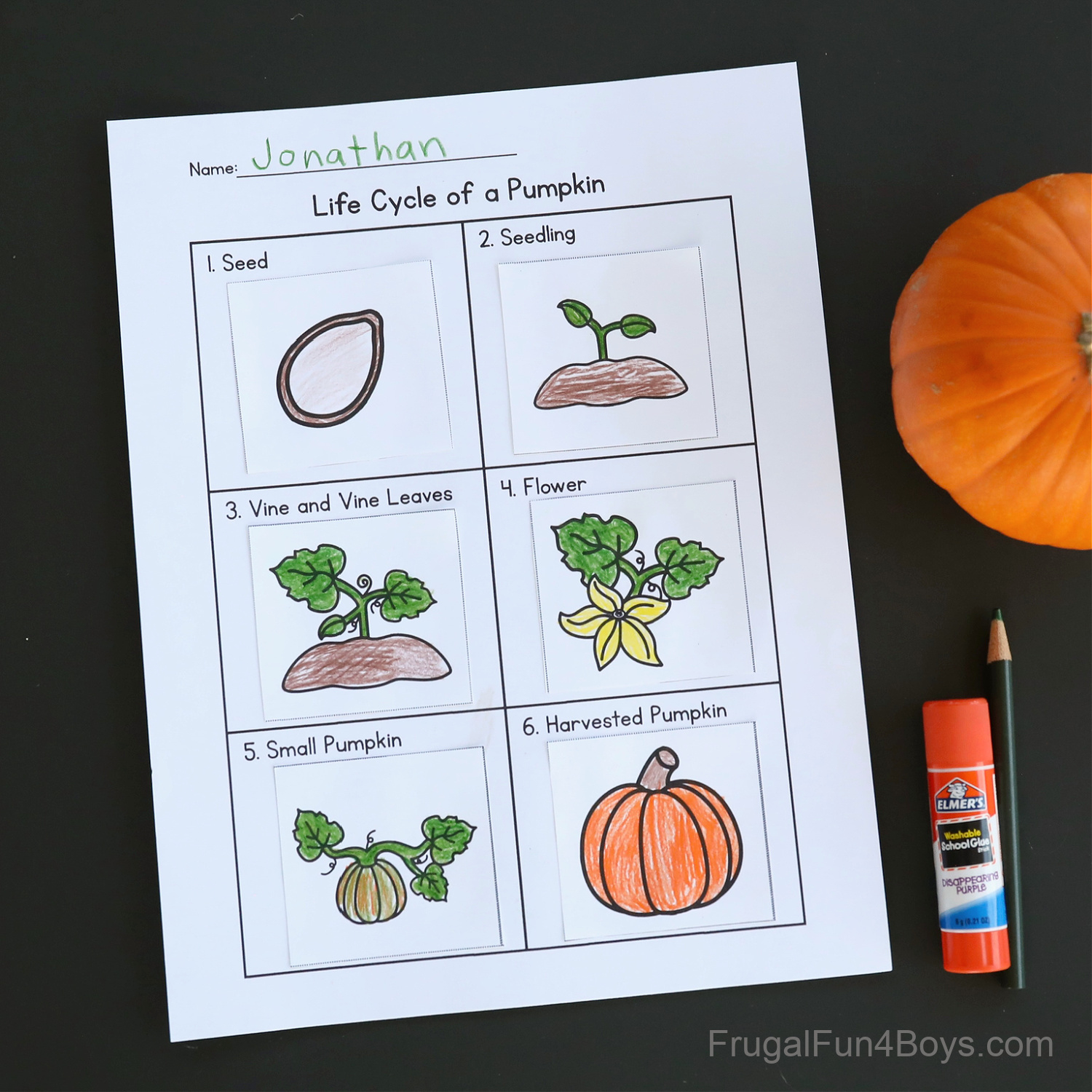 Pumpkin Life Cycle Activity {Printable} - Frugal Fun For Boys And pertaining to Printable Pumpkin Books For Preschoolers