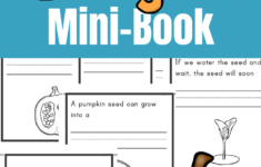 Pumpkin Life Cycle Mini-Book - Only Passionate Curiosity regarding Free Printable Pumpkin Book