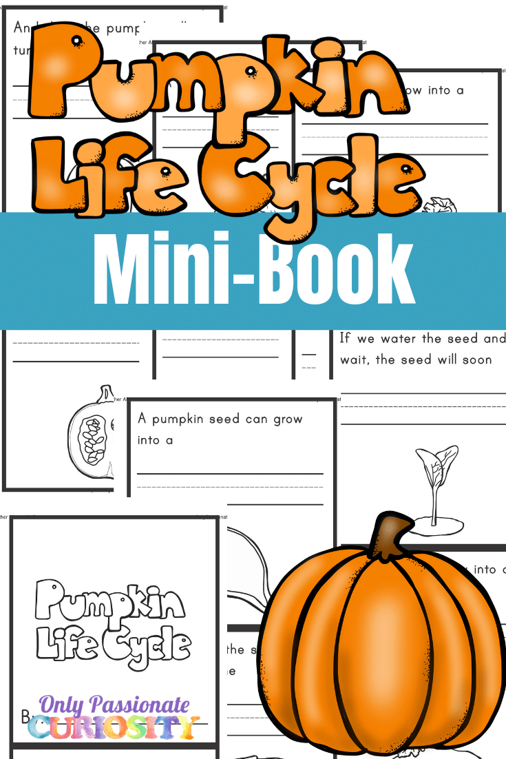 Pumpkin Life Cycle Mini-Book - Only Passionate Curiosity regarding Free Printable Pumpkin Book