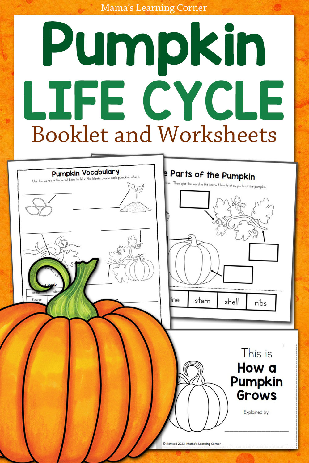 Pumpkin Life Cycle Worksheets - Mamas Learning Corner in Free Printable Pumpkin Life Cycle Book