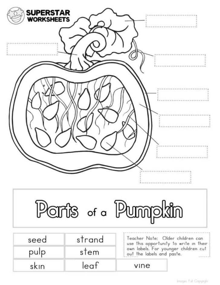 Pumpkin Parts Free Printable Pumpkin Parts Free Printable