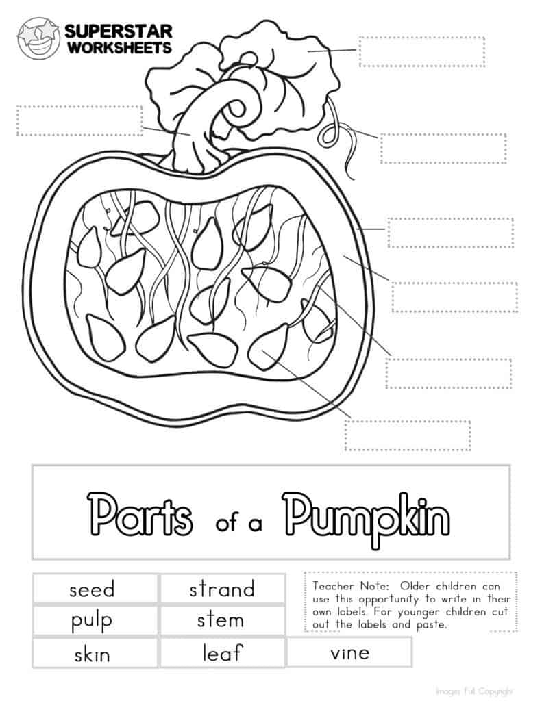 Pumpkin Worksheet - Superstar Worksheets inside Pumpkin Parts Free Printable