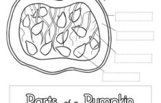 Pumpkin Worksheet - Superstar Worksheets within Label Parts of a Pumpkin Printable