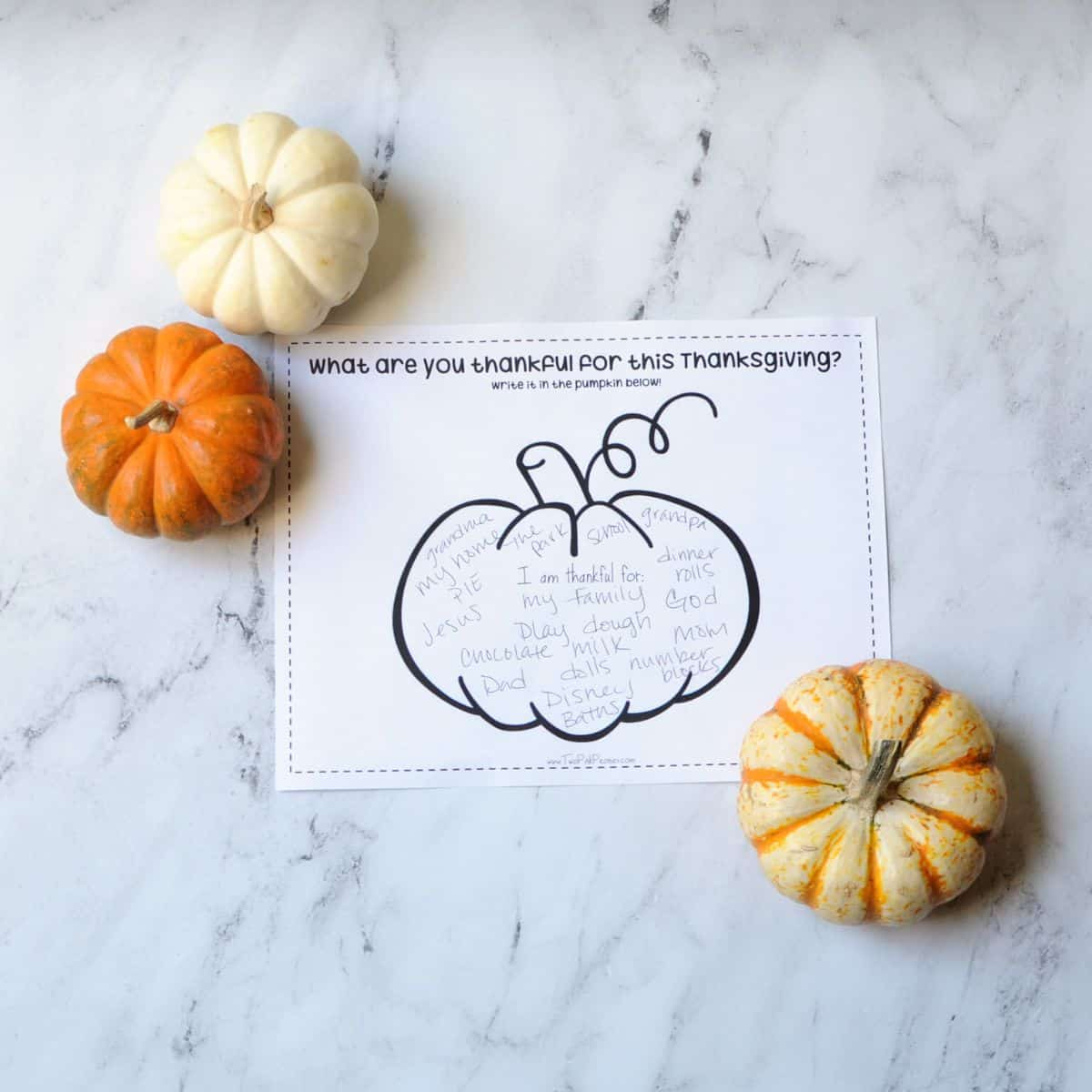 Thankful Pumpkin Printable {Free Instant Download!} intended for Gratitude Pumpkin Template Printable