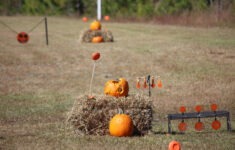The Great Pumpkin &amp; Zombie Shoot 2024 Photos :: Ft. Gordon :: Us throughout Zombie Shooting Pumpkin Patch