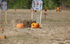The Great Pumpkin &amp; Zombie Shoot 2024 Photos :: Ft. Gordon :: Us with Zombie Shooting Pumpkin Patch