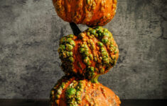 The Zombie Pumpkins I Grew Last Year..my Kids Loved Them : R/Gardening within Age Of The Zombie Pumpkins