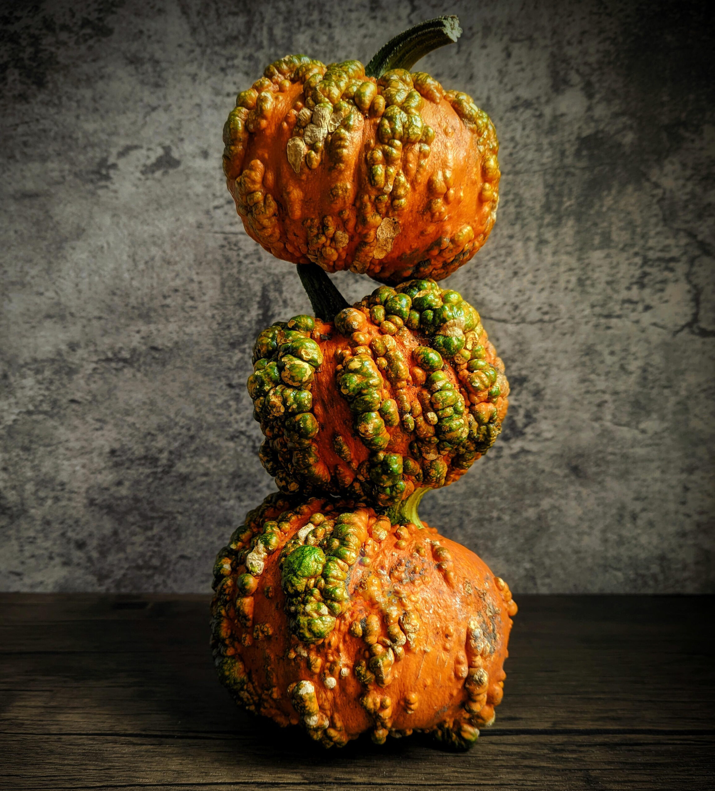 The Zombie Pumpkins I Grew Last Year..my Kids Loved Them : R/Gardening within Age Of The Zombie Pumpkins